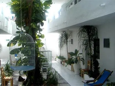 Hotel Elefante Playa del Carmen 2*,