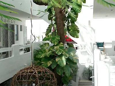 Hotel Elefante Playa del Carmen