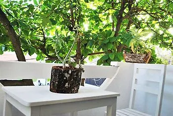Hotel Elefante Playa del Carmen